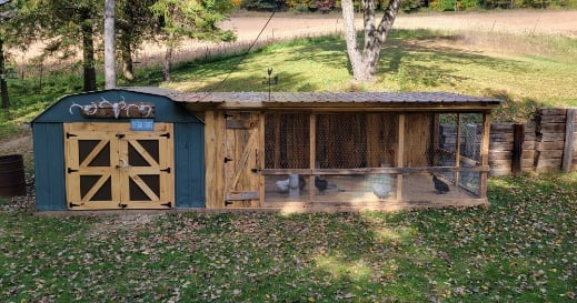 Coop Focus: Chicken Run Build and Shed conversion