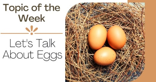 Let's Talk About Eggs