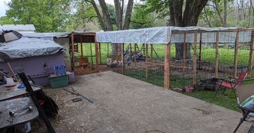 Fowl Penitentiary, the process of a coop on a budget