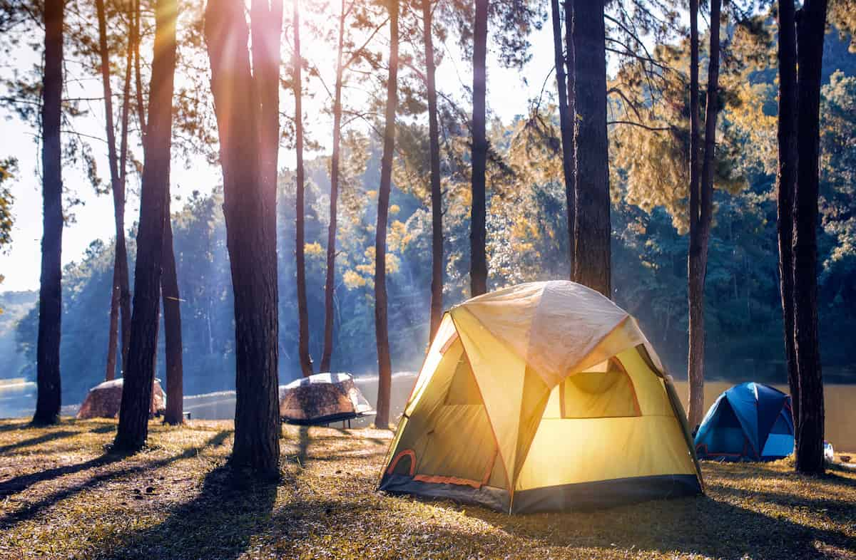 Small tents at a campground.