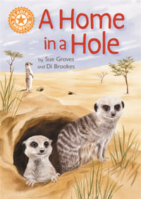 Reading Champion: A Home in a Hole : Independent Reading Orange 6 Non-fiction - Sue Graves