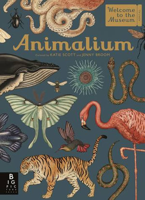 Animalium : Welcome To The Museum : Welcome To The Museum - Jenny Broom