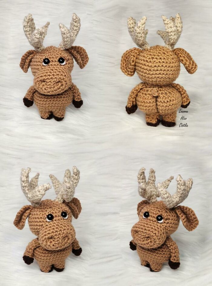 A Little Moose To Bring You Joy Today