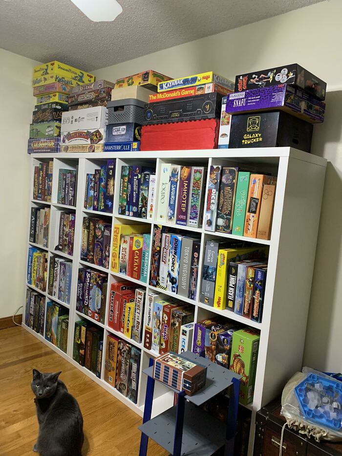 A large collection of board games neatly organized on shelves with a cat sitting on the wooden floor.