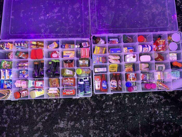 Miniature items displayed in organized boxes, showcasing unexpected unique collections.