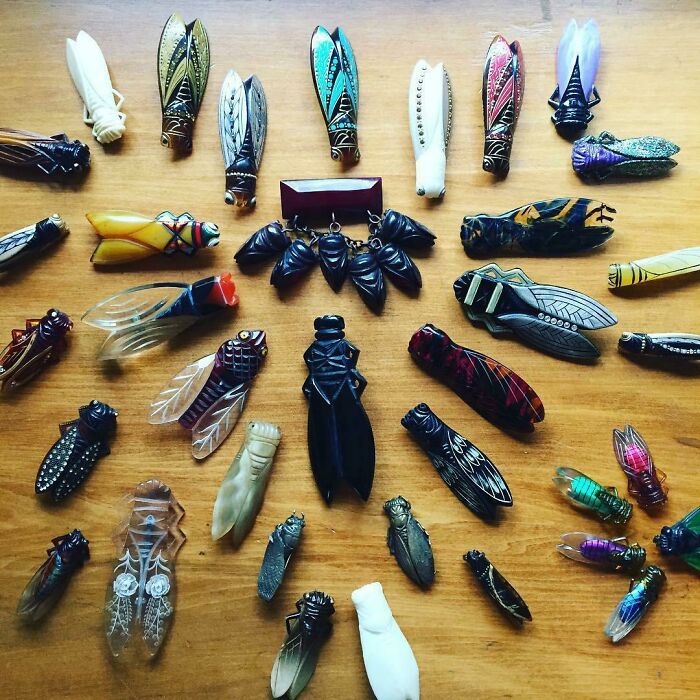 A collection of unique insect-shaped brooches arranged on a wooden table.