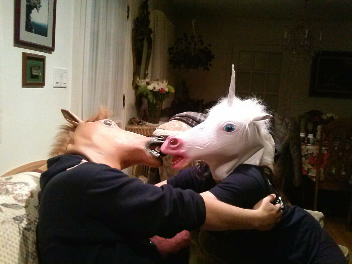 Two people wearing horse and unicorn masks, humorously embracing, perfect trolling Christmas gift idea.