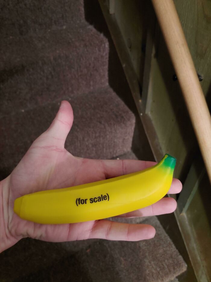 A hand holding a small yellow banana labeled "for scale," perfect for hilarious trolling Christmas gifts.