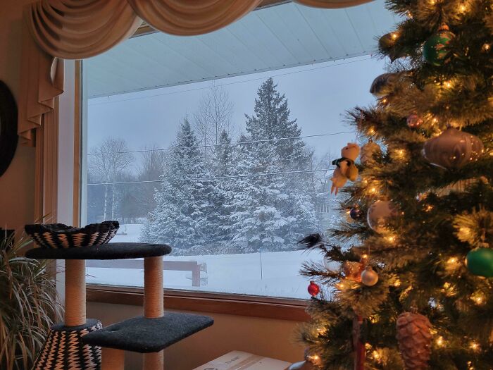 Cozy Christmas tree by a window with snow-covered trees outside, creating a wholesome holiday scene.