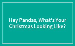 Hey Pandas, What's Your Christmas Looking Like?