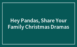 Hey Pandas, Share Your Family Christmas Dramas