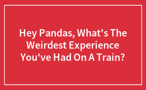 Hey Pandas, What's The Weirdest Experience You've Had On A Train? (Closed)