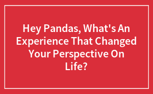 Hey Pandas, What's An Experience That Changed Your Perspective On Life?