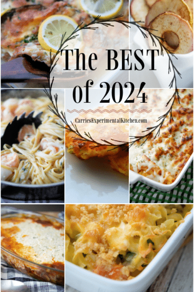 collage photo of the best recipes from 2024 Carrie's Experimental Kitchen