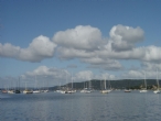 Gosford views over The Broad Water