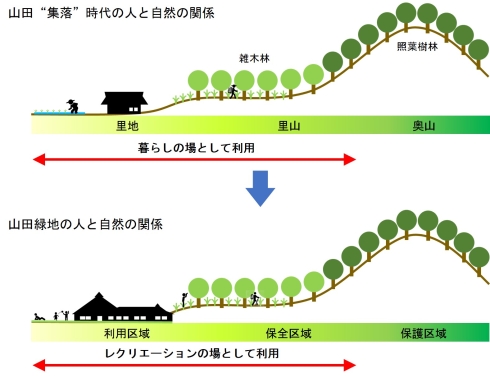 照葉樹林を骨格とした多様な自然環境