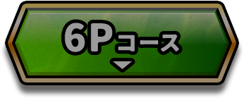 6Pコース