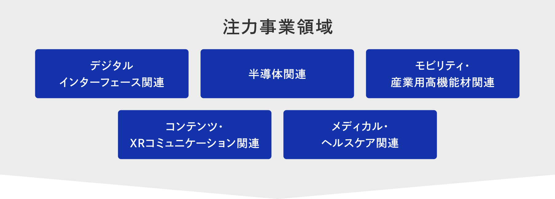 DNPの注力事業領域の説明図