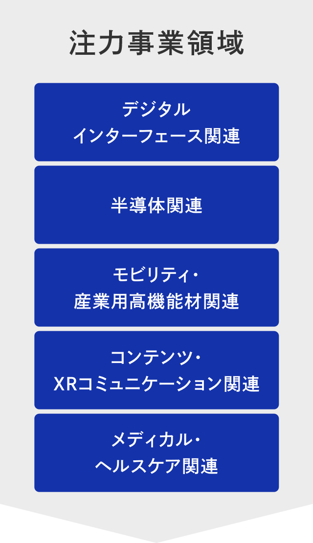 DNPの注力事業領域の説明図