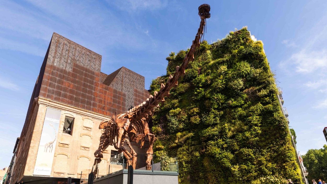 El Patagotitan mayorum, el mayor dinosaurio hasta ahora conocido, se exhibe frente al jardín vertical de CaixaForum Madrid. © Fundación "la Caixa"