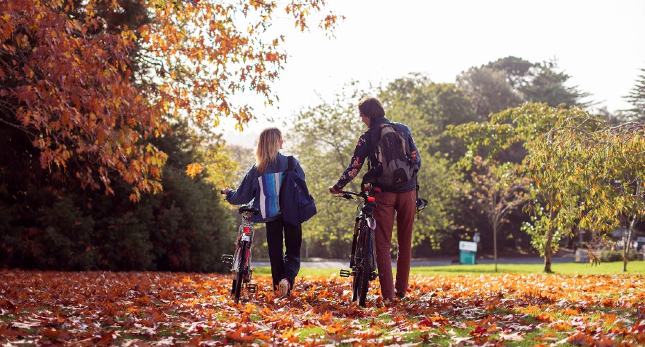 Students push their bikes through fallen leaves