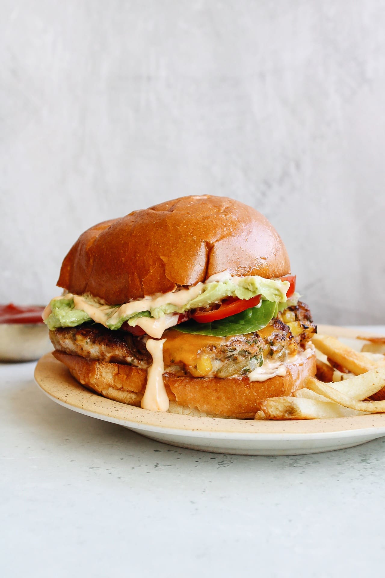 southwest chicken burger on a plate with french fries