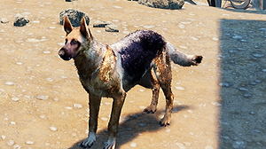 ワンコインでわんこになろう！舐めてかかると台パン必至の犬シムプラットフォーマ―『SYM Shepherd』リリース 画像