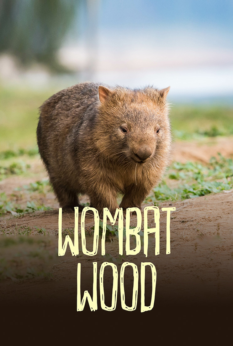 Wombat Wood