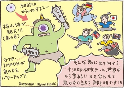 がんのエネルギー産生と配分の仕組みを発見