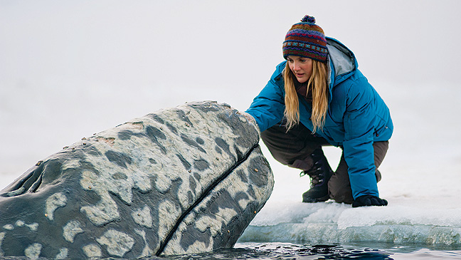 The Whale Tale 'Big Miracle' Among Genesis Awards Nominees