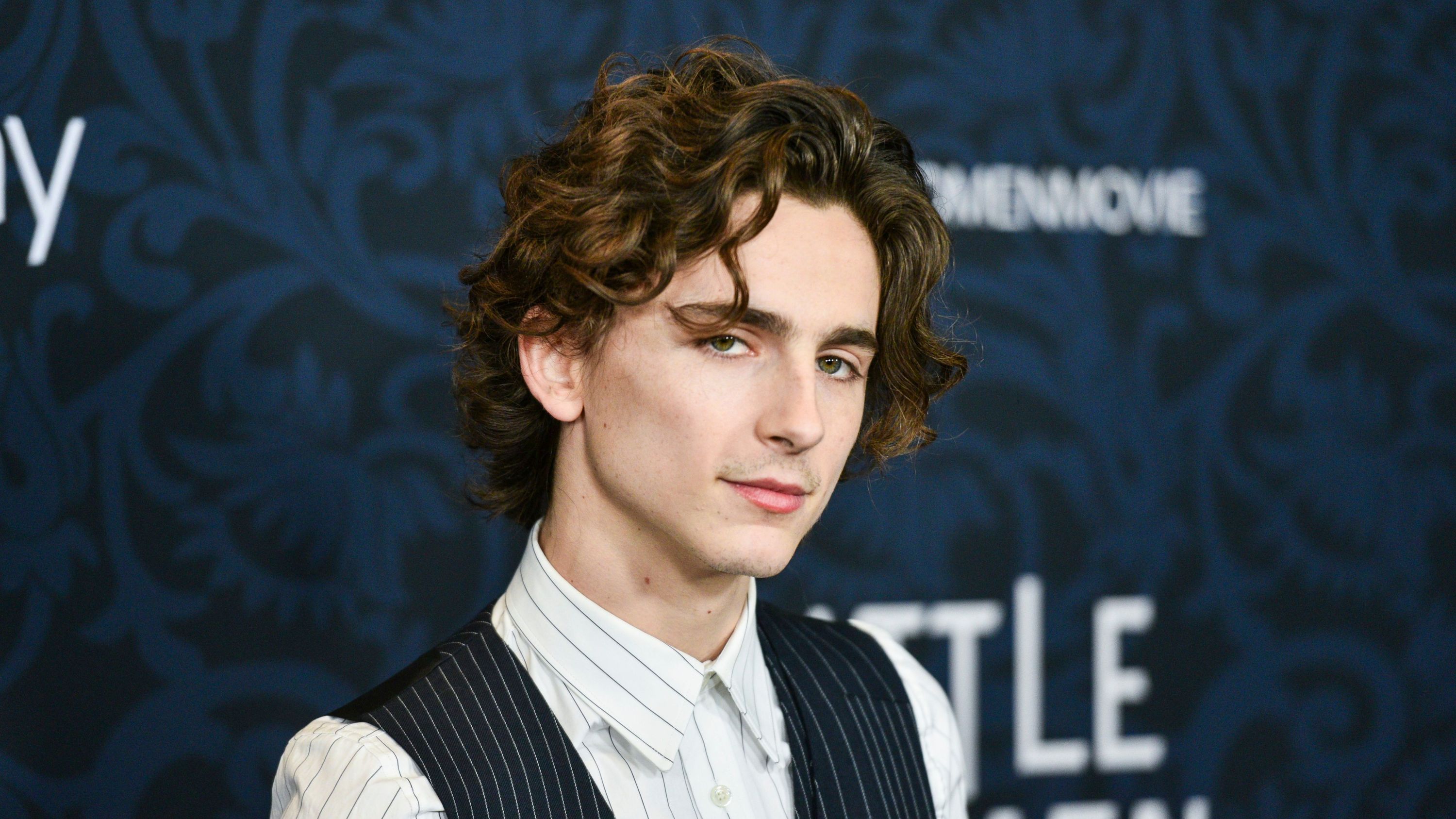 Timothée Chalamet'Little Women' film premiere, Arrivals, The Museum of Modern Art, New York, USA - 07 Dec 2019