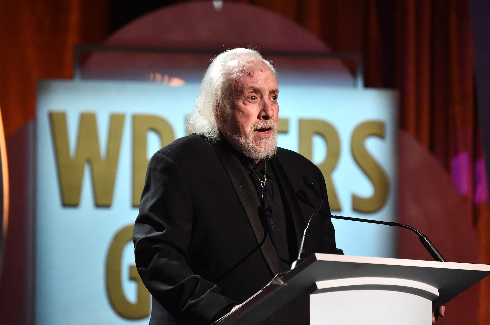 on stage during the 2016 Writers Guild Awards at the Hyatt Regency Century Plaza on February 13, 2016 in Los Angeles, California.