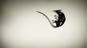 A hand-drawn rat is tossed through a completely white background as part of the opening titles of 'The Decameron'