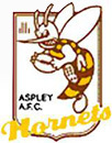 Aspley Hornets logo.jpg