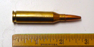 243 WIN Cartridge.jpg