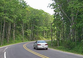 Photograph of a curve along