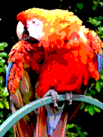 RGB 6bits palette sample image.png