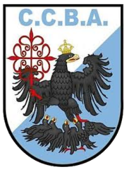 Club ciudad bsas logo.png