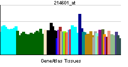 PBB GE TPH1 214601 at tn.png