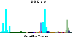 PBB GE CD38 205692 s at tn.png