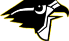 Burlington Twp. High Falcons.gif