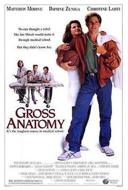 Gross anatomy poster.jpg