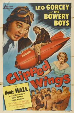 Clipped Wings FilmPoster.jpeg