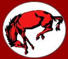 Bronco.png