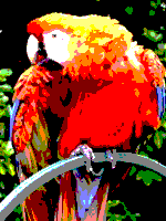 AmstradCPC palette sample image.png