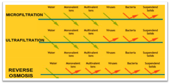 Microfiltration, Ultrafiltration and Reverse Osmosis are the three main competing processes, each one is able to filter to a certain extent depending on its pore size