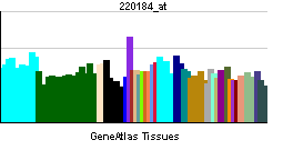 PBB GE NANOG 220184 at tn.png