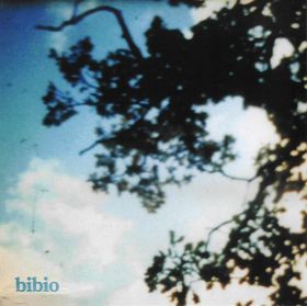 Bibio Fi album cover.jpg