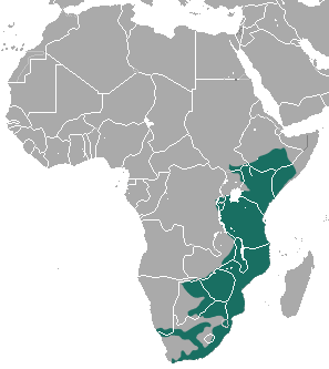 Vervet Monkey area.png