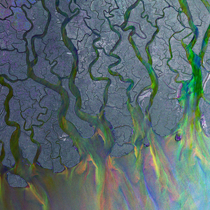 Alt-J - An Awesome Wave.png